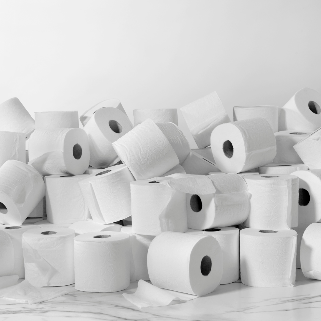Rolls and rolls of toilet paper.
